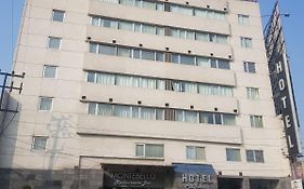 Hotel California México DF Exterior photo